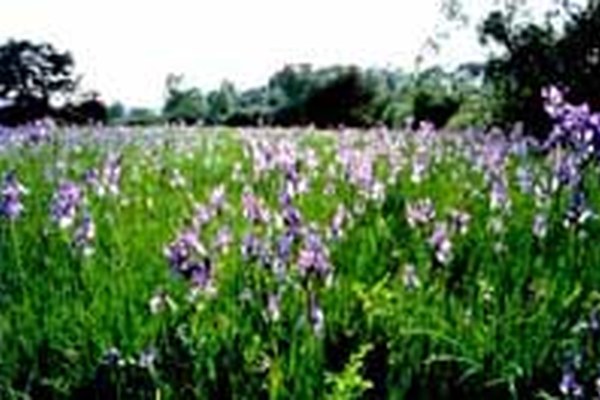 Mednarodna konferenca o upravljanju območij NATURA 2000 Mednarodna konferenca o upravljanju območij NATURA 2000