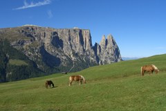 Giralpeggi - projekt turističnega razvoja na planinah Giralpeggi - projekt turističnega razvoja na planinah
