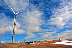 Slovenija: raba vetrne energije in varstvo ptic Slovenija: raba vetrne energije in varstvo ptic