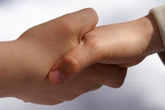 Alpe-Jadran spodbuja čezmejno rabo alternativnih energij Alpe-Jadran spodbuja čezmejno rabo alternativnih energij