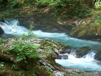 Drugo poroč ilo o stanju Alp tokrat o razmerah na področ ju alpskih vodnih virov