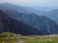 Zavarovana območja v slovenskih Alpah