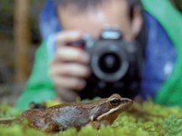 Na natečajih za biotsko raznovrstnost lahko sodelujejo fotografi in kmetovalci