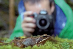 Na natečajih za biotsko raznovrstnost lahko sodelujejo fotografi in kmetovalci Na natečajih za biotsko raznovrstnost lahko sodelujejo fotografi in kmetovalci