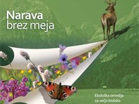 Narava brez meja: nova brošura za boljše razumevanje ekoloških omrežij