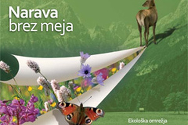 Narava brez meja: nova brošura za boljše razumevanje ekoloških omrežij Narava brez meja: nova brošura za boljše razumevanje ekoloških omrežij