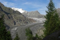 Alpe izgubljajo ledenike