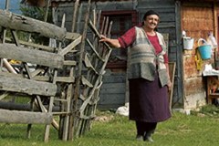 Karpatska konvencija je nastala na pobudo Alpske konvencije