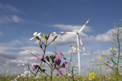 Nagrada občinam za uspešno rabo obnovljivih virov energije