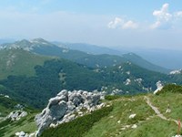 Na Brdu pri Kranju se je zgodila I Dinarska konferenca