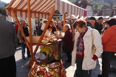 Letno poročilo 2011: "Tako bomo nadaljevali tudi v prihodnje!" Letno poročilo 2011: "Tako bomo nadaljevali tudi v prihodnje!"