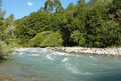 Rambach: vodna energija ali biosfera? Rambach: vodna energija ali biosfera?