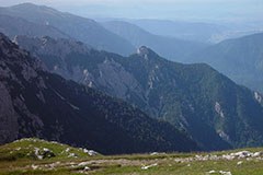Slovenija pripravlja zeleno strategijo Slovenija pripravlja zeleno strategijo