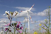Projekt recharge.green želi povezati energijo z naravo