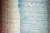 Podnebne spremembe: zgodnja pomlad, pozna jesen