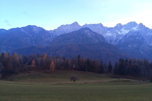 Alpski sistem podnebnih ciljev - priporočila za slovenski gorski gozd Alpski sistem podnebnih ciljev - priporočila za slovenski gorski gozd