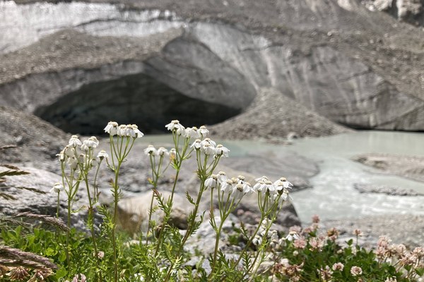 Glasovi in mnenja vzdolž pohodniške poti Via Alpina Glasovi in mnenja vzdolž pohodniške poti Via Alpina