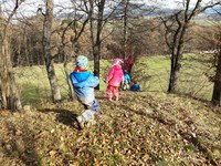 Gozdni vrtec, kjer otroci uživajo v naravi