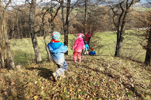 Gozdni vrtec, kjer otroci uživajo v naravi Gozdni vrtec, kjer otroci uživajo v naravi