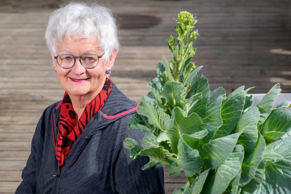 Podnebna seniorka Podnebna seniorka