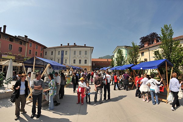 Tolmin nagrajen za občinsko politiko Tolmin nagrajen za občinsko politiko