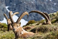 Trajnostni turizem od spodaj