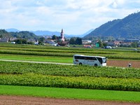 Počakaj na bus