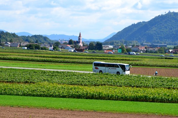 Počakaj na bus Počakaj na bus
