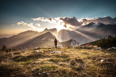 Via Alpina Youth – walking the change
