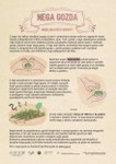 GozdNega: Infografike