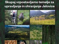 Zloženka JeloviZA