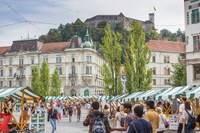 Festival Lupa