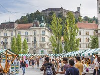 Festival Lupa