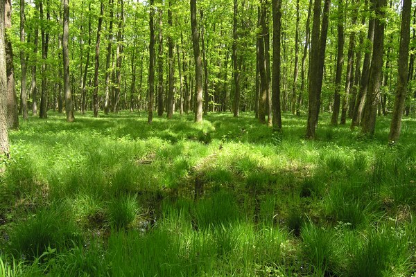 Mesto, podeželje in gore v ravnovesju Mesto, podeželje in gore v ravnovesju