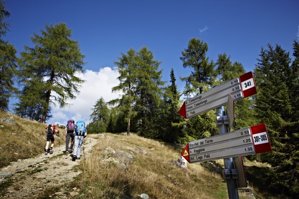 Morje podatkov v gorskem turizmu Morje podatkov v gorskem turizmu