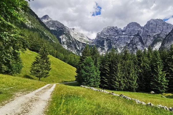 Via Alpina vas potrebuje! Via Alpina vas potrebuje!
