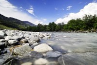 Alpska konvencija